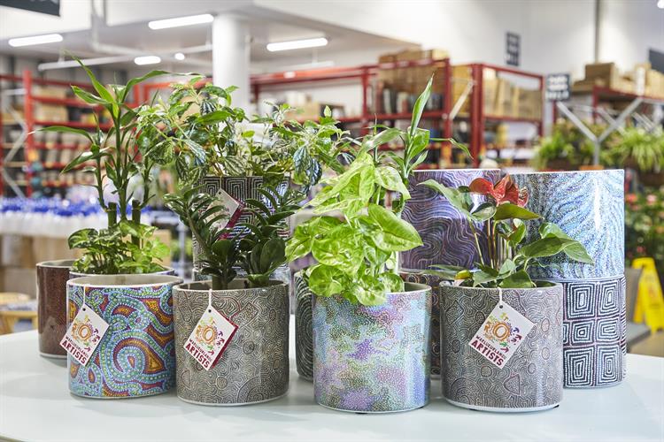 Bunnings collaborates with Indigenous artists through exclusive plant pots range